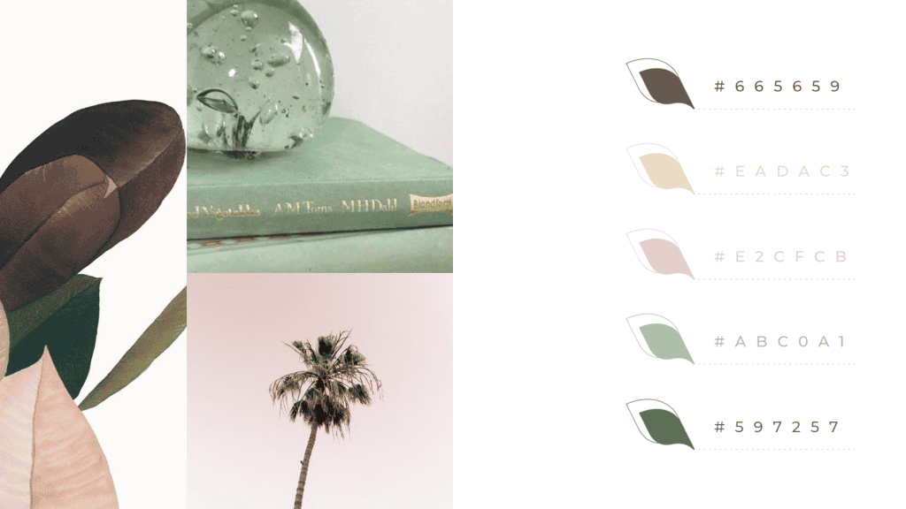 Skincare visual branding and colors