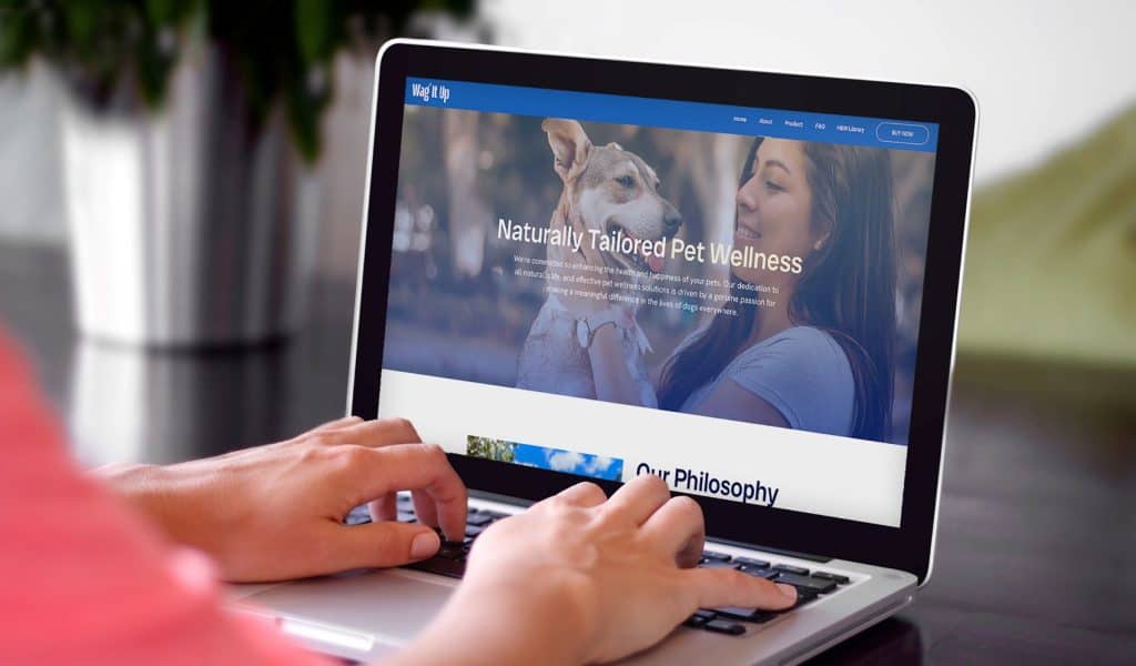 Website design for Wagwholistic