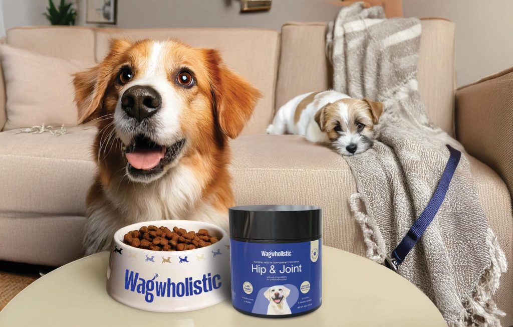 Pet Supplement Logo Design & Labels
