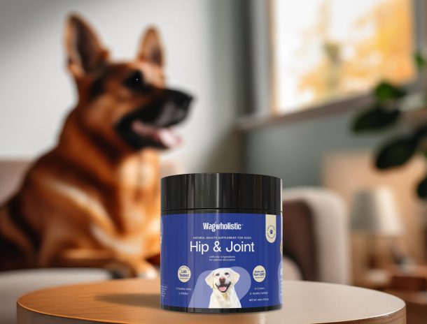 Pat Supplement Product Design